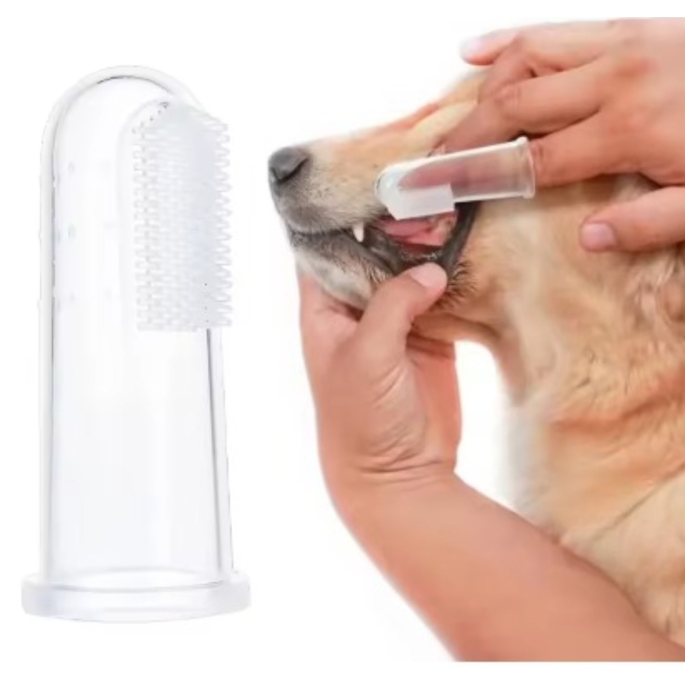 Super Soft Pet Finger Toothbru - Tools & Workshop Equipment For Sale In Hampshire Page 3 50 Gumtree 评论和价格